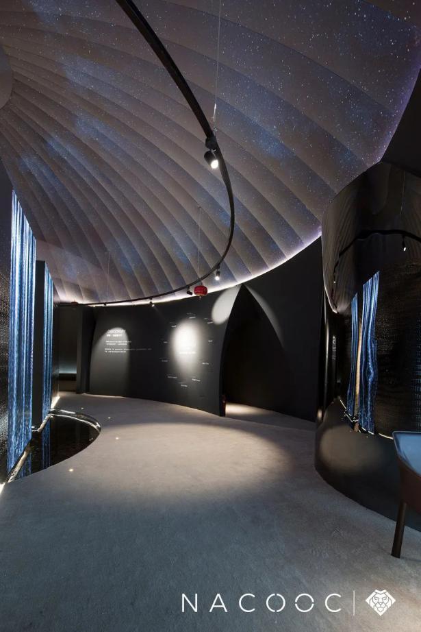 无人机天幕秀燃爆穹顶！NACOOC双展璀璨上演_4